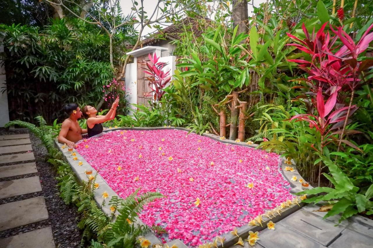 D'Omah Yogya Hotel Bantul Luaran gambar
